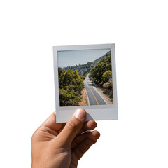 Hand holding a polaroid picture of a road winding through trees on a sunny day in the mountains