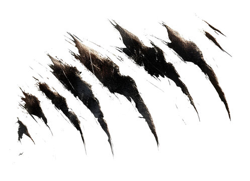 Claw scratch marks with torn edges, isolated on transparent cutout background