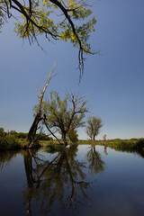 Serene Ukrainian Countryside – Puzhaikove Village River and Pond