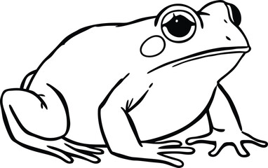 frog on a white background