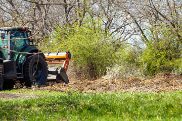Forestry industry with a brush cutter in action in a forest of young pines 