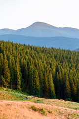 Tourist camp in a sunny meadow against the backdrop of mountains with a high spruce forest.