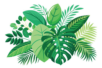 Vector Illustration of Tropical Green Leaves Arrangement on White Background Featuring Exotic Palms and Monstera Leaves for Natural and Summer Themes