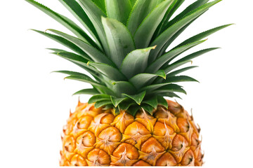 Fototapeta premium Whole Ripe Pineapple with Spiky Crown – Tropical Super fruit illustration on white