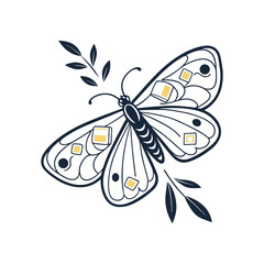 butterfly vector illustration