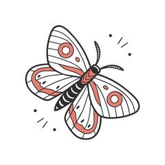 butterfly vector illustration