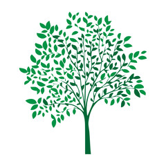 Fototapeta premium silhouette tree icon