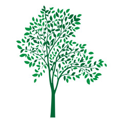 Obraz premium silhouette tree icon