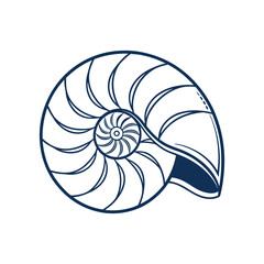 Obraz premium nautilus shell vector illustration