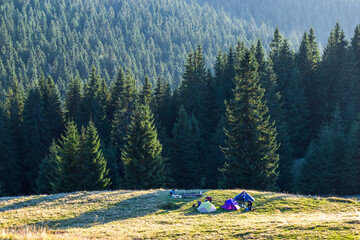 Tourist tents and hikers in a sunny meadow against the backdrop of mountains with a tall spruce forest.