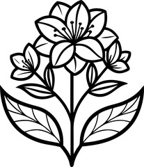 Gillyflower  flowers vector line art icon white and black