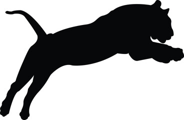 Tiger Jumping Vector Silhouette Illustration Wild Animal Design