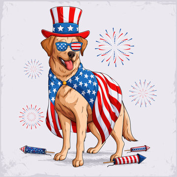Golden retriever in 4th of July disguise wearing uncle Sam hat, sunglasses, cape in American flag theme celebrating independence day with fireworks