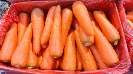 Fresh Carrots in Box – Close-up of Organic Orange Vegetables in Market