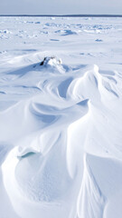 Serene winter landscape featuring snowdrifts sculpted by wind. Evokes feelings of peace, isolation, and the raw beauty of nature. Perfect for travel, weather, or conceptual projects.