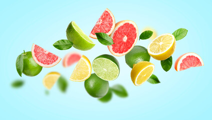 Different fresh citrus fruits and green leaves in air on light blue background