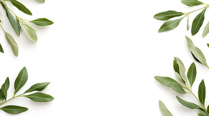 Fototapeta premium Elegant green leaf frame on white backdrop. Minimalist botanical border with fresh, vibrant foliage. Ideal for organic themes and natural beauty.