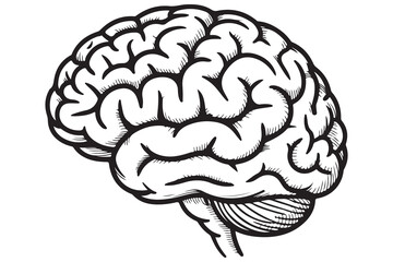 Brain silhouette icon simple vector illustration
