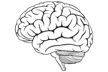 Brain silhouette icon simple vector illustration