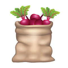 Burlap bag with beetroot. Vector 3D clipart isolated on white background.