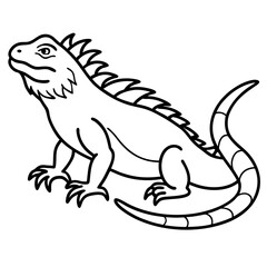 Volcano Iguana line art vector