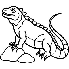 Volcano Iguana line art vector