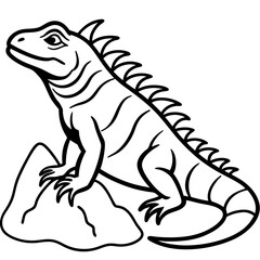 Volcano Iguana line art vector