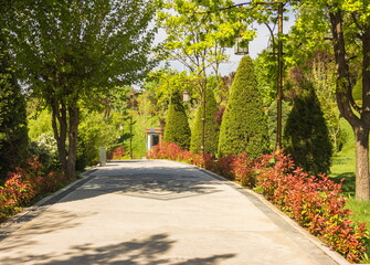 Parks of Tashkent. Spring landscape of a public park. Uzbekistan.