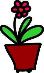 flower in a pot