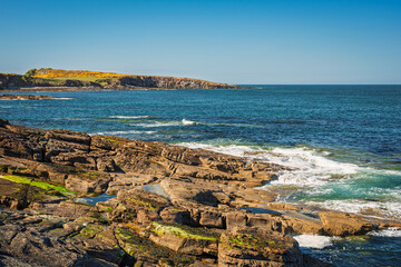 Cullernose Point on the Howick Coastline, located on the North Sea coast in Northumberland's National Landscape, England