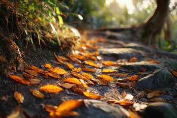 Amber leaves skimming across a root-strewn path under warm sunlight