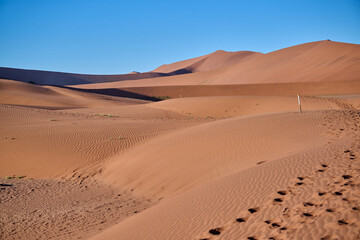 DEAD VLEI IN NAMIBIA