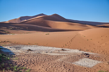 DEAD VLEI IN NAMIBIA
