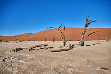 DEAD VLEI IN NAMIBIA