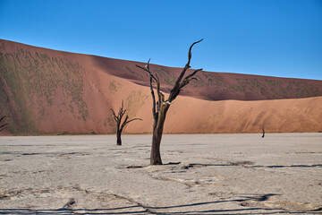 DEAD VLEI IN NAMIBIA