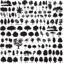 Plant and Trees Vector Collection Nature Inspired Graphics for Designers
