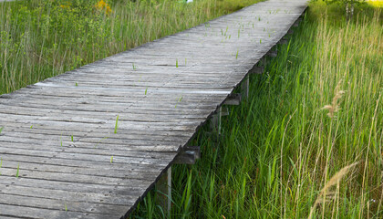 The Wooden Deck The Wetland