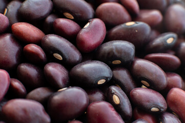 Close-up macro shot with shallow depth of field. Raw beans. Healthy and tasty food. Veganism