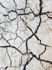 Dry cracked earth surface showing drought conditions and severe soil texture.