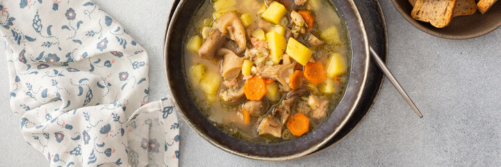 Oyster mushroom soup in plates, soup made from Pleurotus mushrooms and potatoes, carrots and spices, top view, copy space, banner