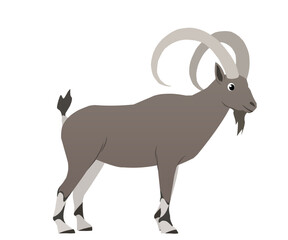 Ibex vector with flat illustration style, to add a touch of mountain nature to your project.