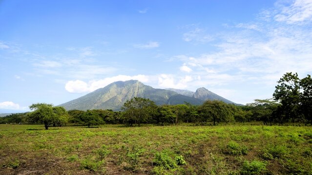 Dry savanna Baluran National Park with Mount Baluran background in Situbondo East Java Indonesia