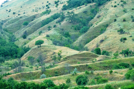 Gully terrain on mountainside. Ravines (cleavage) are covered with steppe (phrygan xerophytic formation) vegetation on site of forests that disappeared hundreds of years ago. Black Sea coast