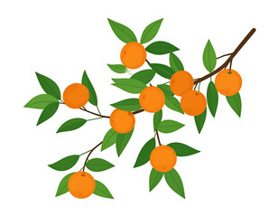 Lush branch laden with ripe oranges and vibrant green leaves