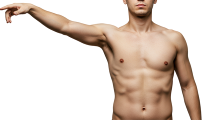 Isolated Torso with Arm Pointing or Reaching