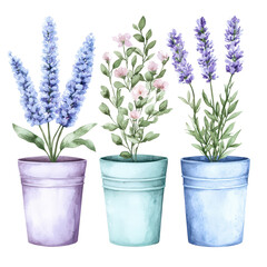 Obraz premium Floral Harmony: A trio of potted plants, each blossoming with unique charm, stands together in a bright display of floral beauty, the vibrant colors.