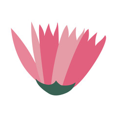 Pink Blooming Elegance: A stylized graphic of a blooming pink flower with delicate petals. The artwork captures the essence of botanical beauty in a simplistic style, perfect for a variety of designs.