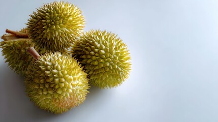 durian thai fruit