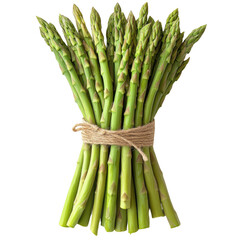 Fresh green asparagus spears bunch tied with twine on black background on transparent background