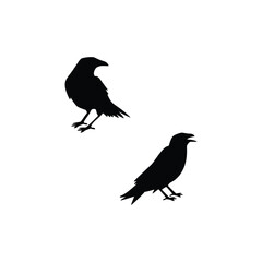 Halloween Witch and Crow Silhouette Vector Spooky Isolated Design Template on White Background for Holiday Decorations and Themed Projects